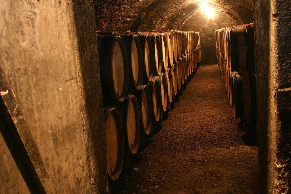 Maison d'Hôtes Chandon de Briailles Savigny-lès-Beaune Extérieur photo